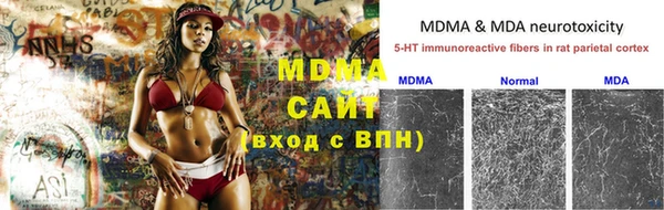 гашик Новозыбков