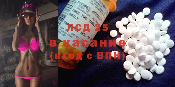 ГАЛЛЮЦИНОГЕННЫЕ ГРИБЫ Новодвинск