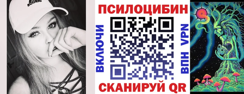 Псилоцибиновые грибы MAGIC MUSHROOMS  купить закладку  Починок 
